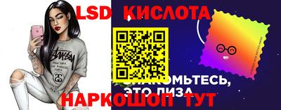мдпв Гусев