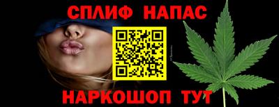 spice Гусь-Хрустальный
