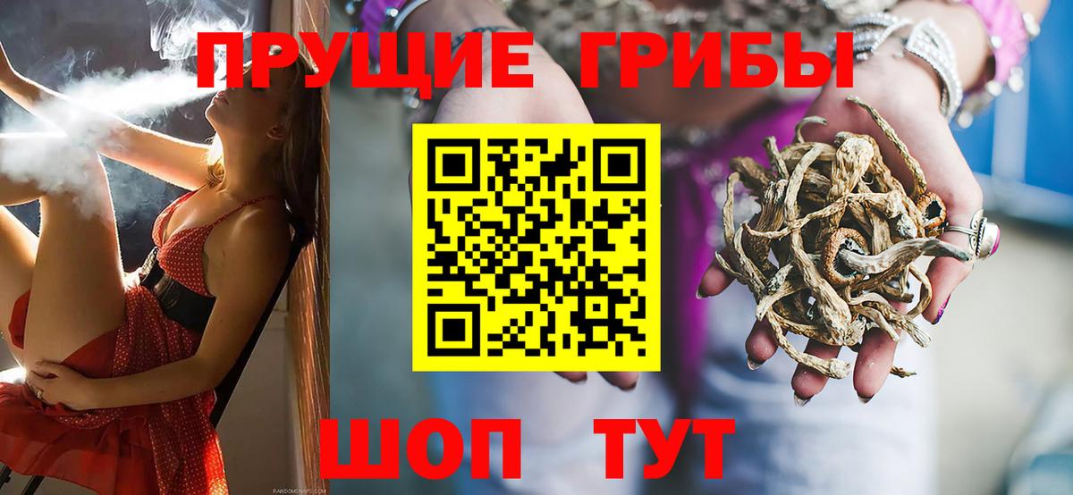 Галлюциногенные грибы MAGIC MUSHROOMS  Вход с VPN  Дагестанские Огни  Псилоцибиновые грибы GOLDEN TEACHER 