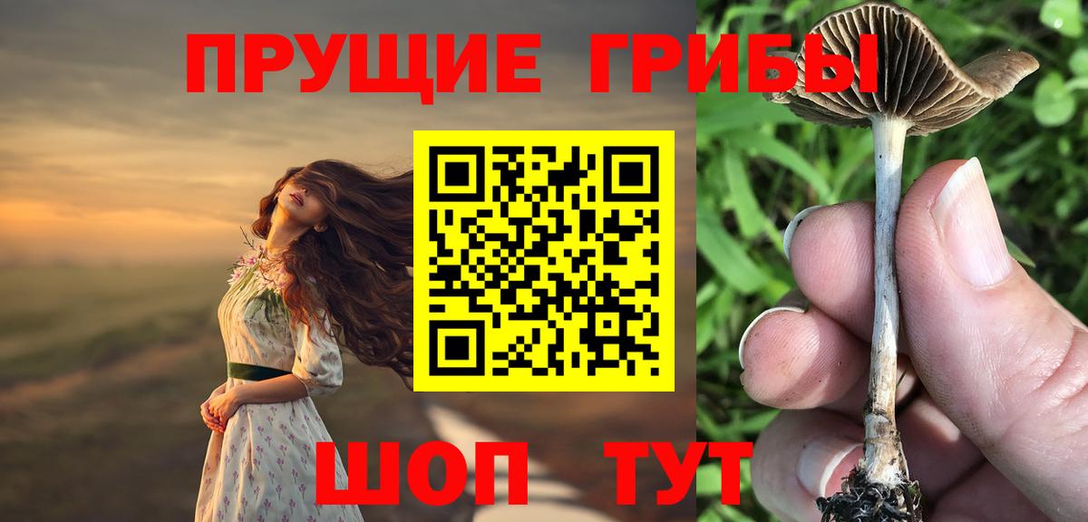Галлюциногенные грибы GOLDEN TEACHER Дагестанские Огни